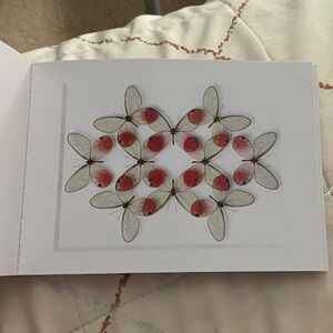 Postcard - Art of Christopher Marley - Biophilia - Cytheras